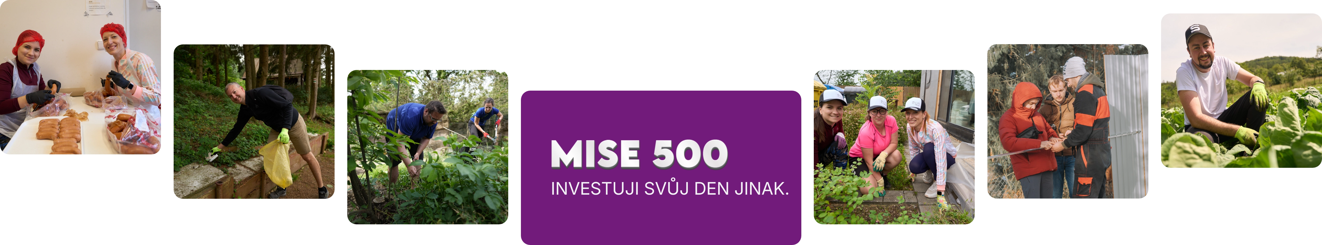 Dobrovolnictví